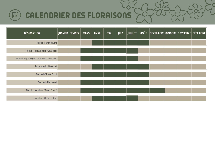 Plan Masse - photomontage - conception - choix matériaux choix végétaux - fiche techniques végétaux- palette ambiance - calendrier floraison - paysagiste - Brest