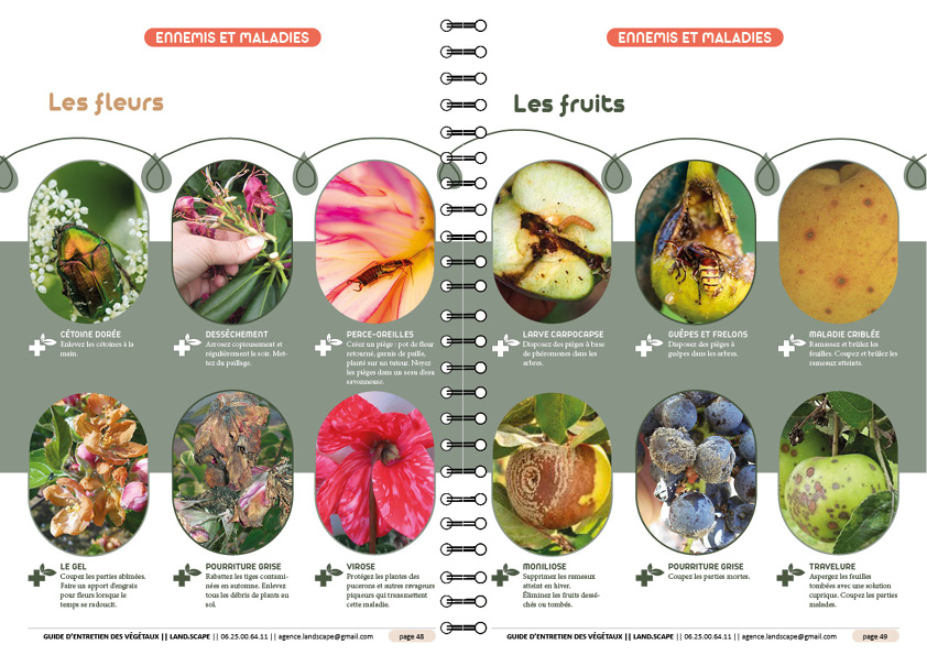 Plan Masse - photomontage - conception - choix matériaux - palette ambiance - paysagiste - Brest - guide entretien