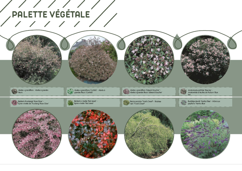 Plan Masse - photomontage - conception - choix matériaux - choix végétaux - palette ambiance - paysagiste - Brest